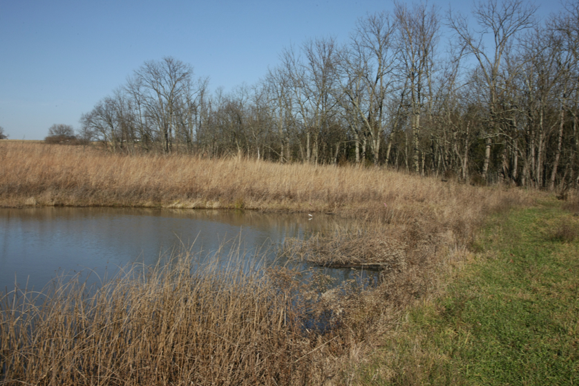 Full Size Image = 4995 K