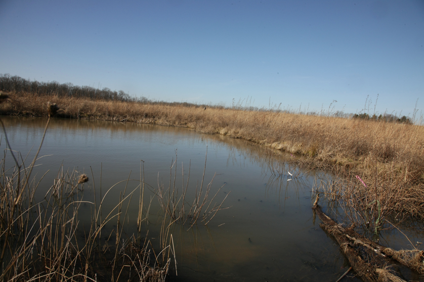 Full Size Image = 4148 K