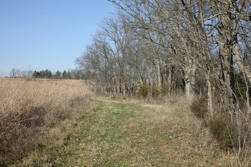 Full Size Image = 6927 K