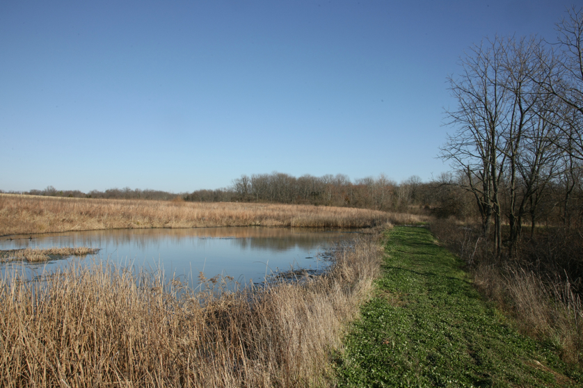 Full Size Image = 5260 K