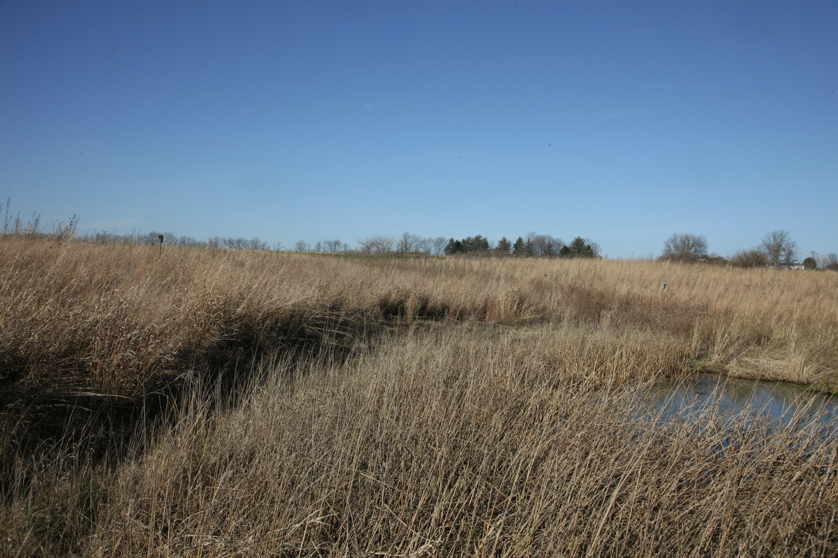 Full Size Image = 5079 K