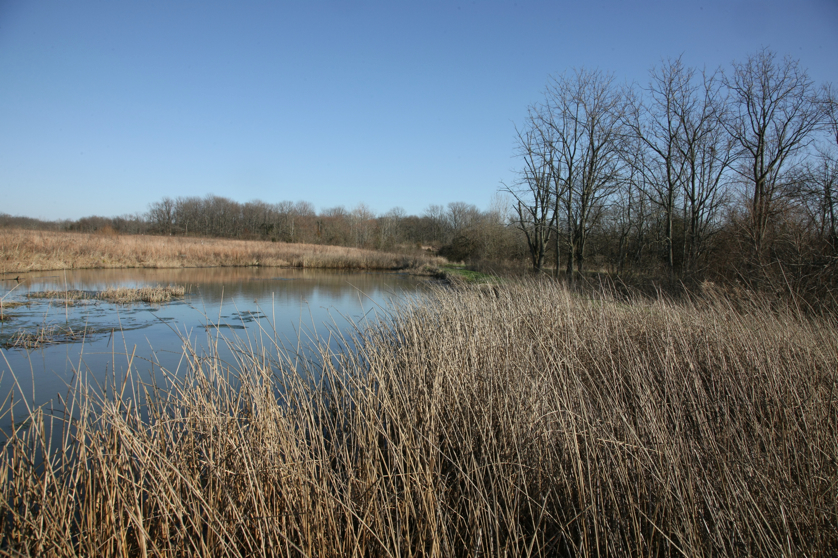 Full Size Image = 5977 K