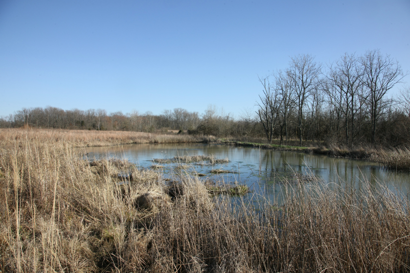 Full Size Image = 5845 K