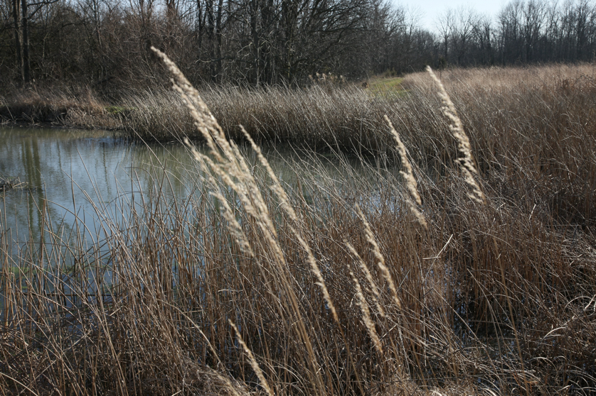 Full Size Image = 6922 K