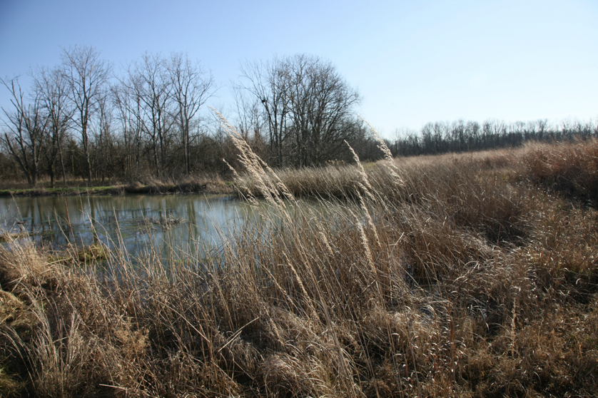 Full Size Image = 5523 K