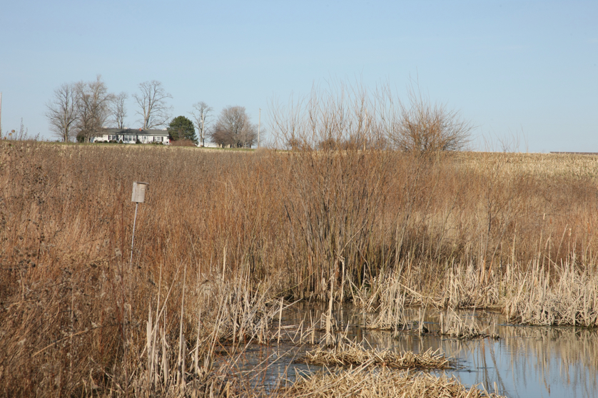 Full Size Image = 5727 K