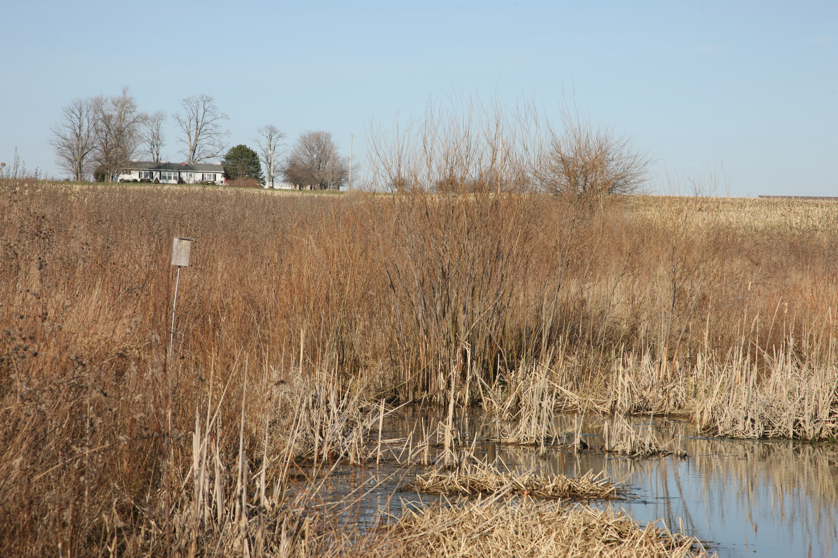 Full Size Image = 5685 K