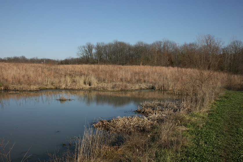 Full Size Image = 5096 K