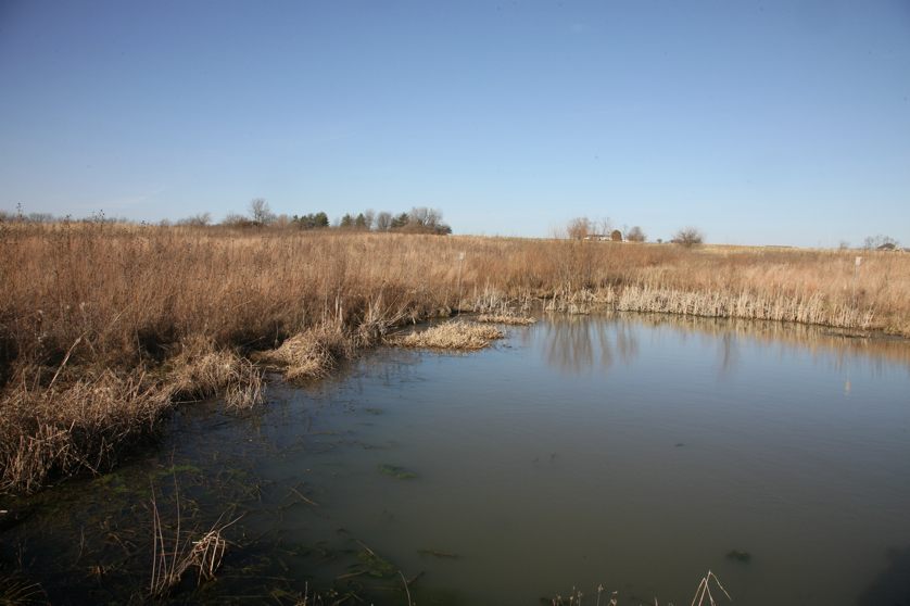 Full Size Image = 3855 K