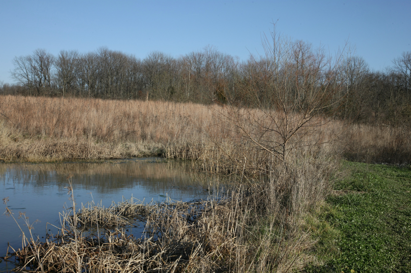 Full Size Image = 6205 K