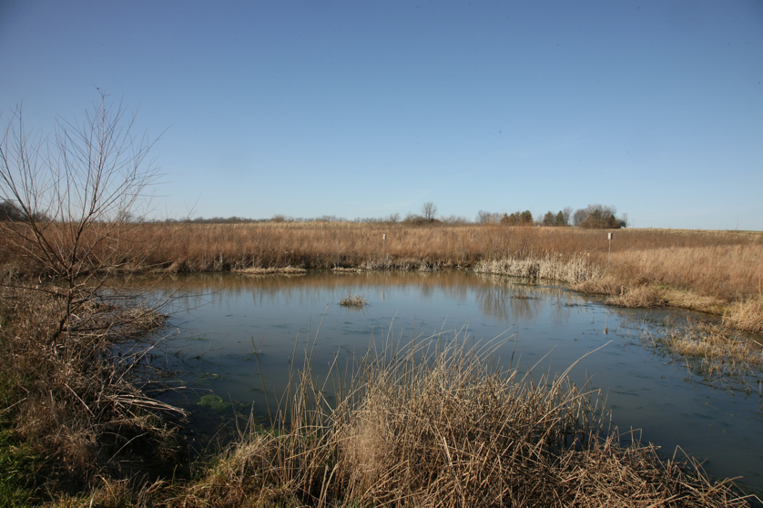 Full Size Image = 4884 K