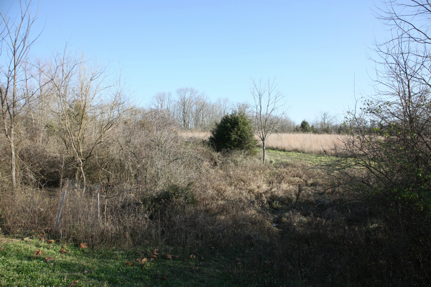 Full Size Image = 6286 K