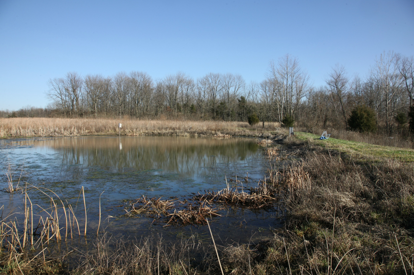 Full Size Image = 5670 K