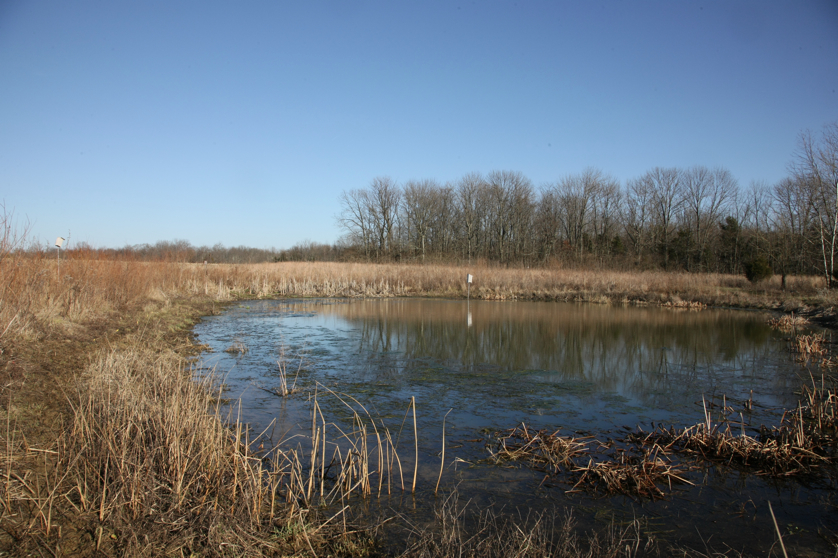 Full Size Image = 4986 K