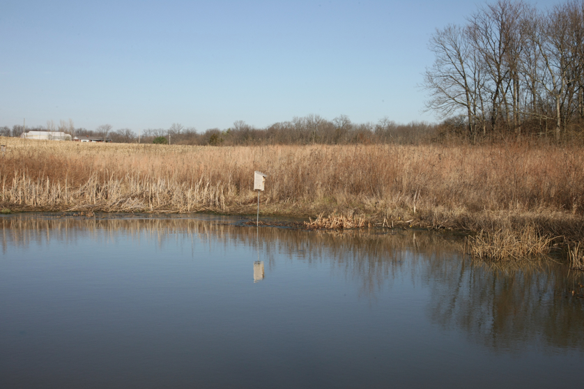 Full Size Image = 4355 K