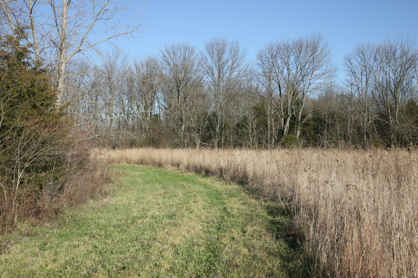 Full Size Image = 7349 K