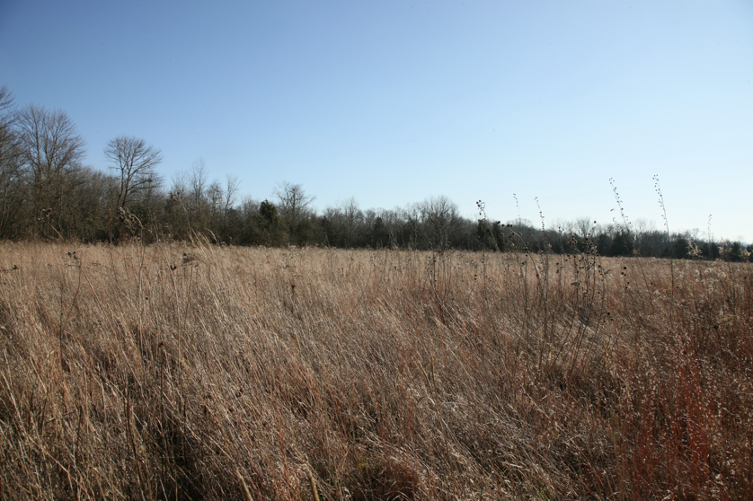 Full Size Image = 5569 K