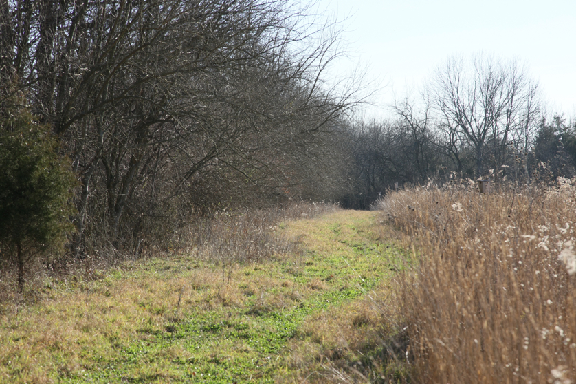 Full Size Image = 6051 K