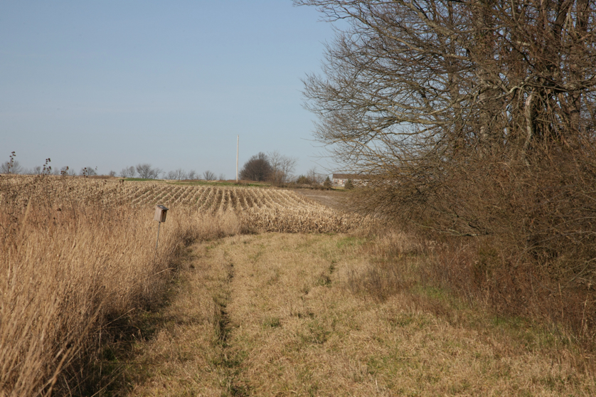 Full Size Image = 5502 K