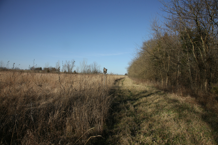 Full Size Image = 5611 K