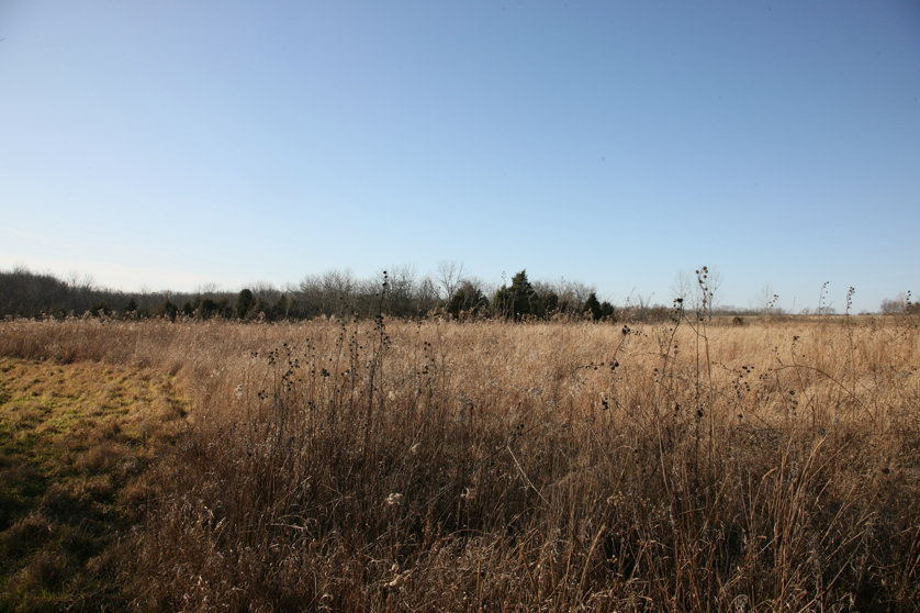 Full Size Image = 4880 K