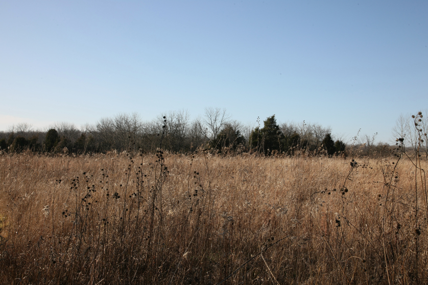 Full Size Image = 5148 K