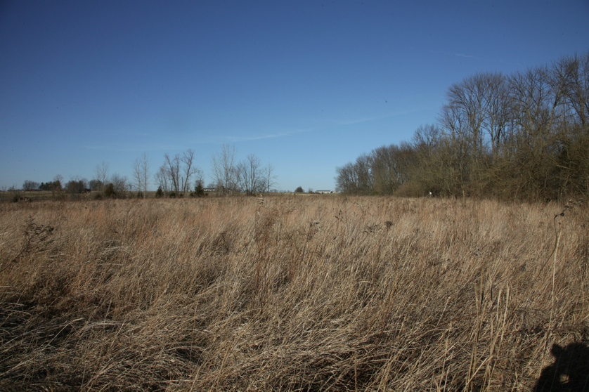 Full Size Image = 5607 K