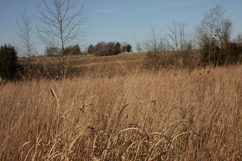 Full Size Image = 5104 K