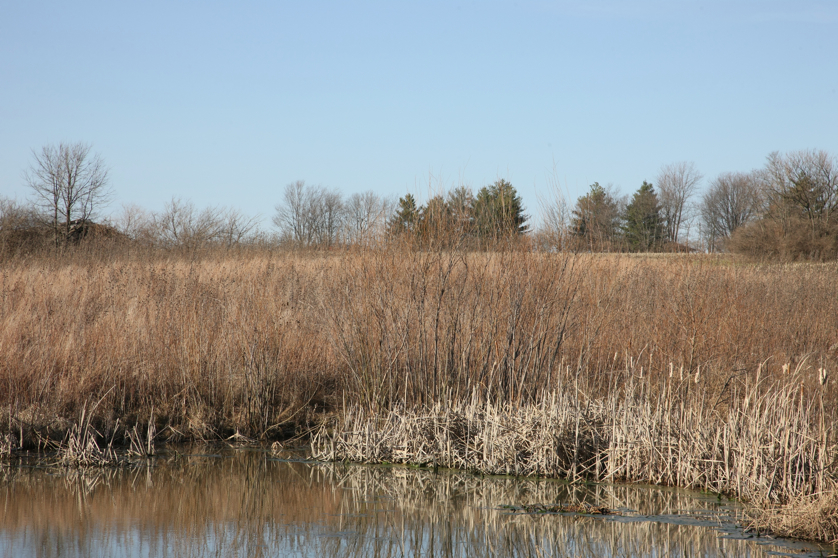 Full Size Image = 5803 K