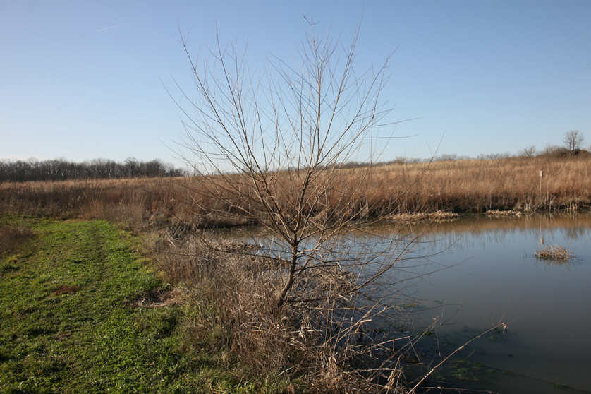 Full Size Image = 5356 K