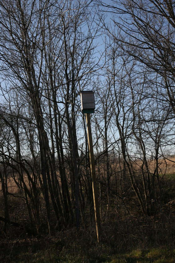 Full Size Image = 6682 K