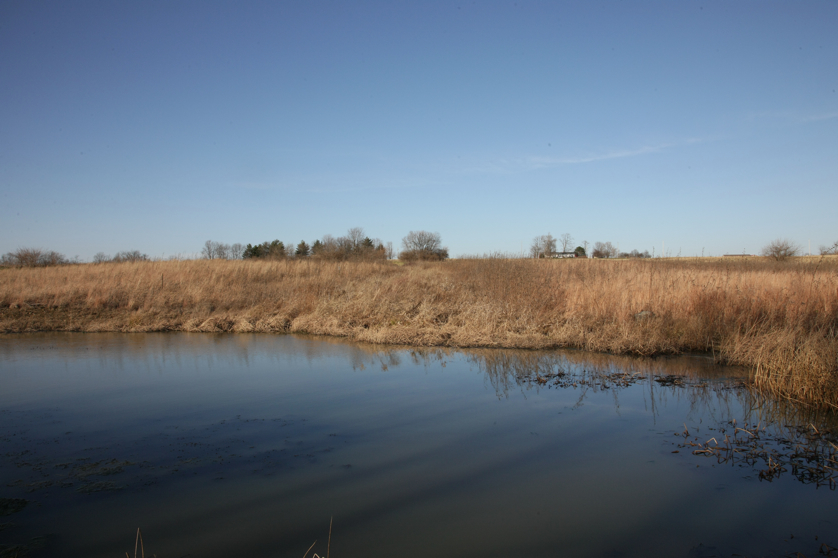 Full Size Image = 3472 K