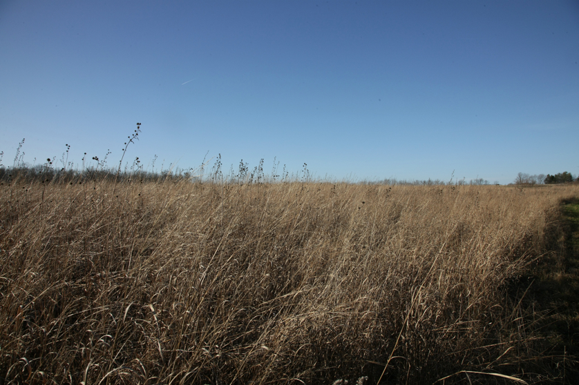 Full Size Image = 5116 K