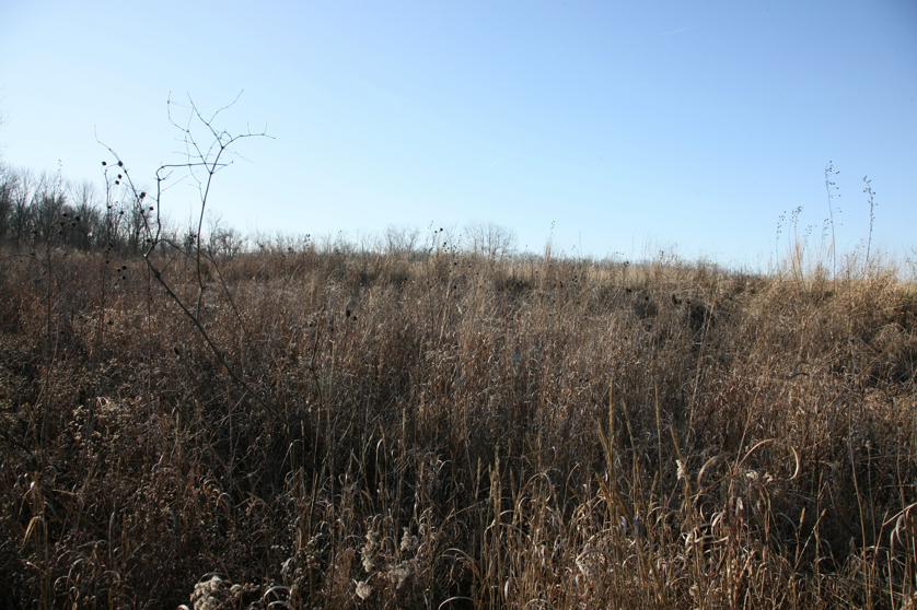 Full Size Image = 5610 K