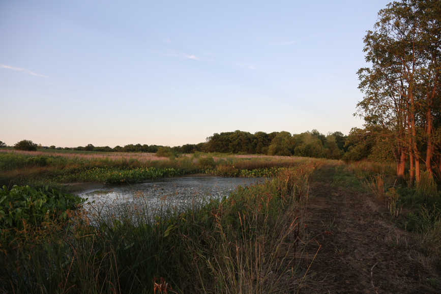 Full Size Image = 4529 K