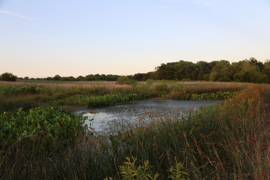 Full Size Image = 4090 K