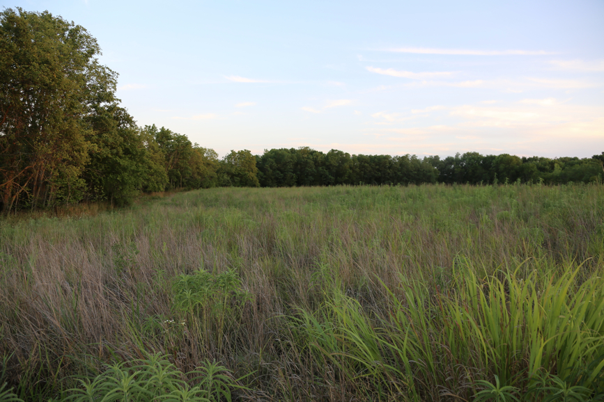 Full Size Image = 4875 K