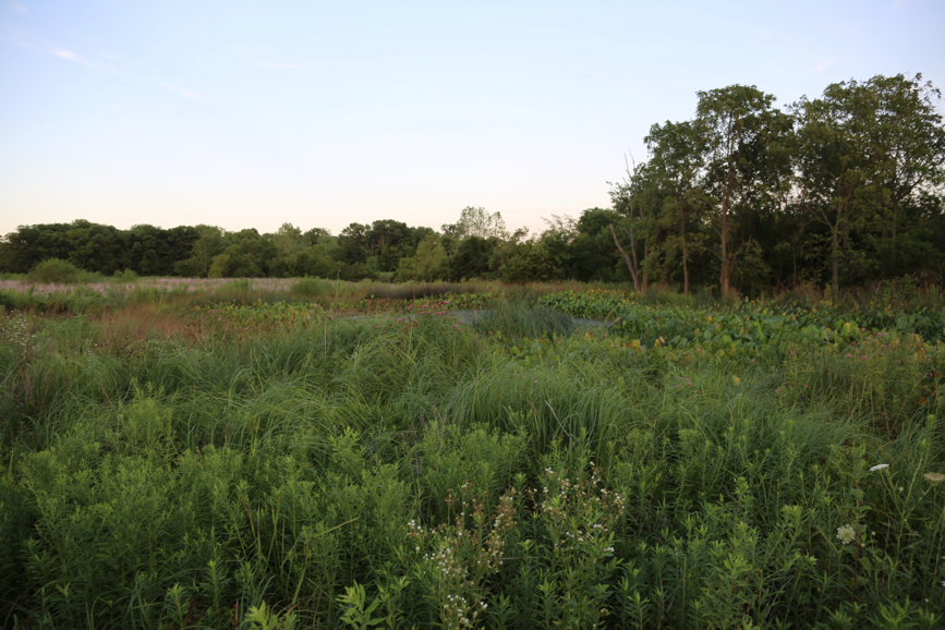 Full Size Image = 4337 K