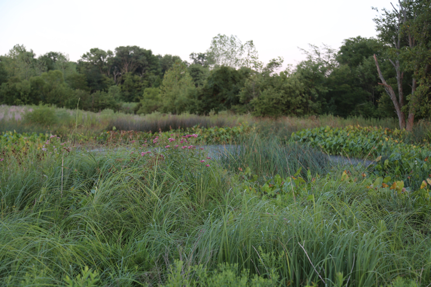 Full Size Image = 4549 K