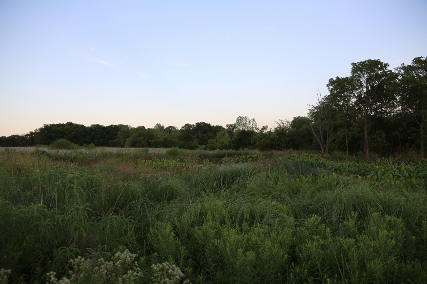 Full Size Image = 3816 K