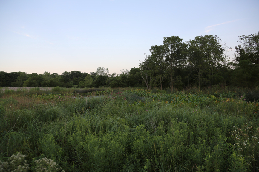 Full Size Image = 4138 K