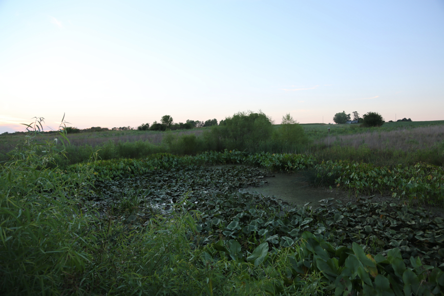 Full Size Image = 3311 K