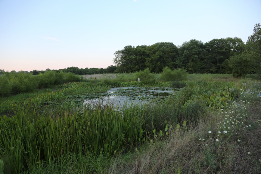 Full Size Image = 4841 K