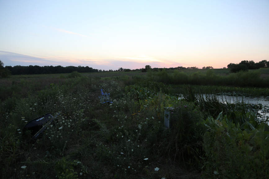 Full Size Image = 3352 K