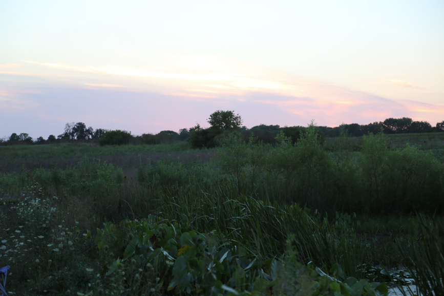 Full Size Image = 2943 K