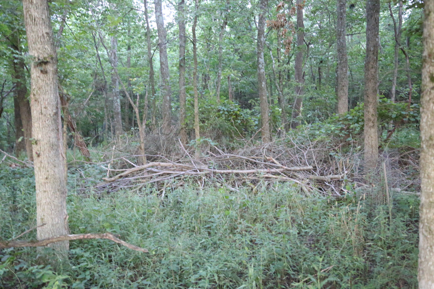 Full Size Image = 5952 K