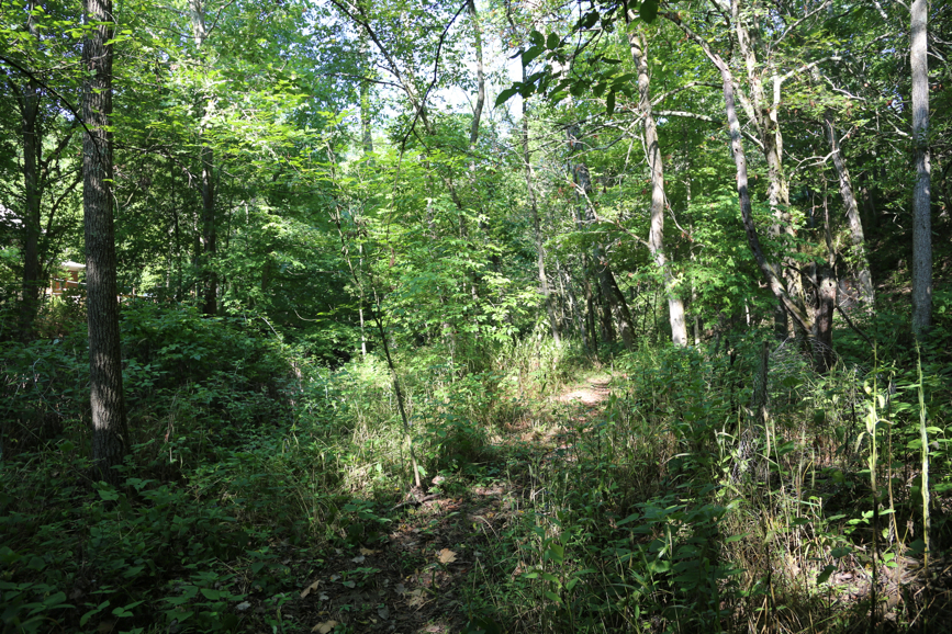 Full Size Image = 8399 K