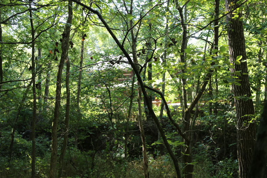 Full Size Image = 6308 K