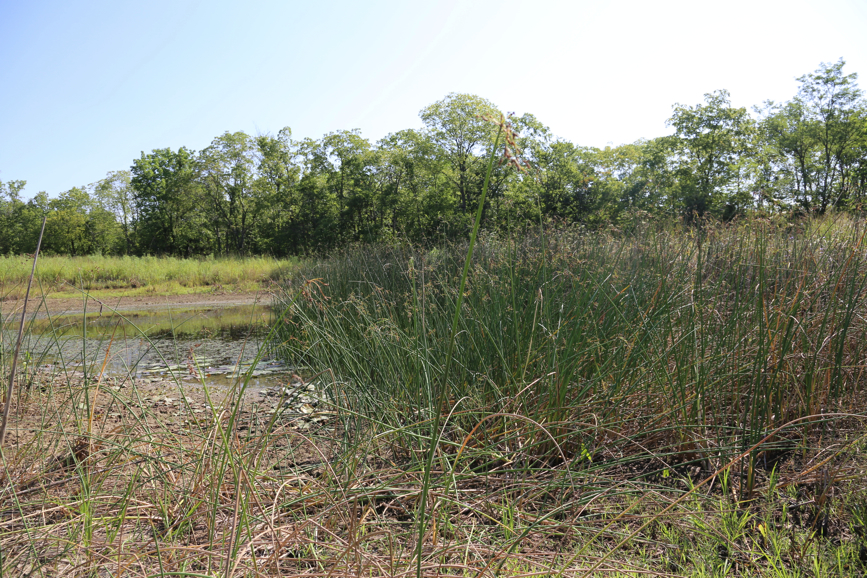 Full Size Image = 7153 K