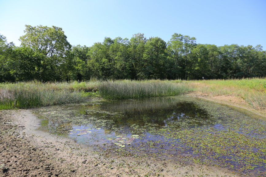 Full Size Image = 7783 K